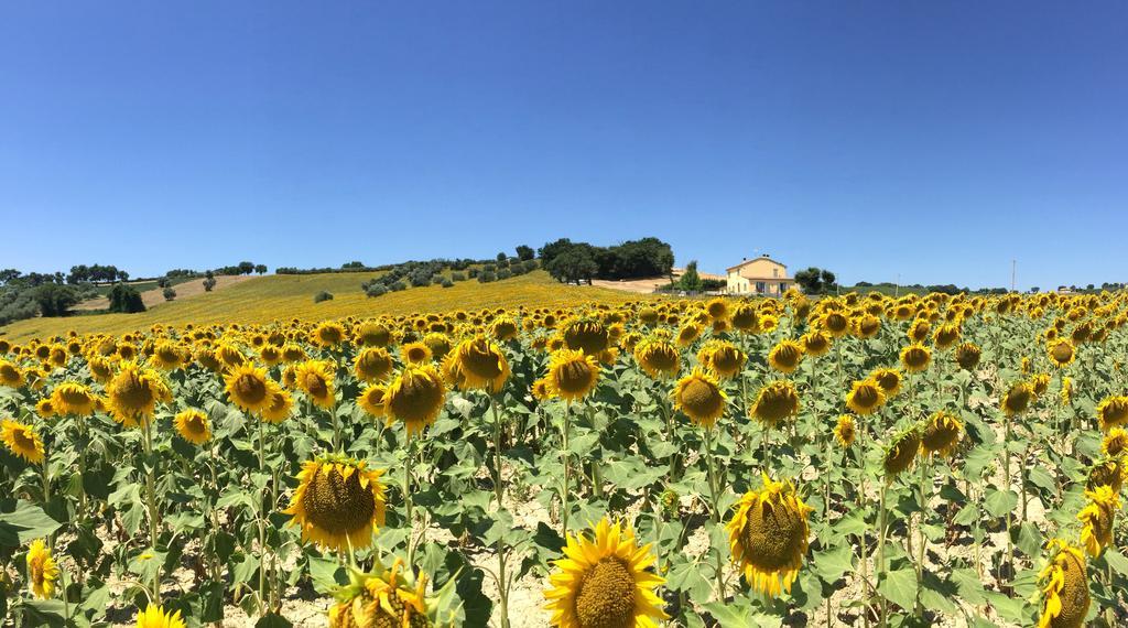Girasole Apartment San Marcello  Room photo